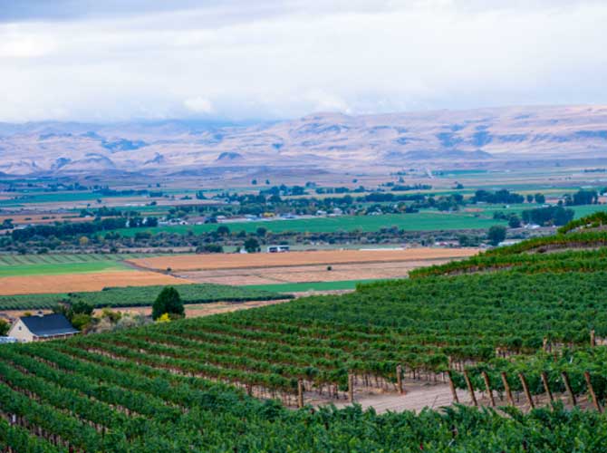 Beautiful engagement party venues in Boise, Meridian, and Eagle for couples to celebrate their love. Places to host a beautiful idaho Wedding
